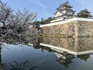 IMG_2348.jpeg