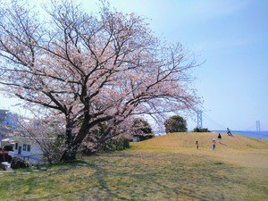 DSC_3339-EDIT.jpg