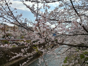 IMG_20250406_105022522_HDR.jpg
