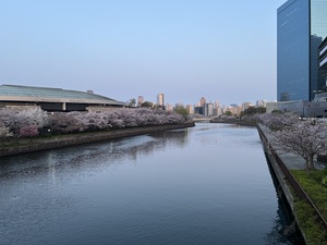 IMG_2390.jpeg