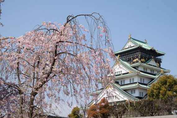枝垂れ桜と大阪城(minikaoru).jpg