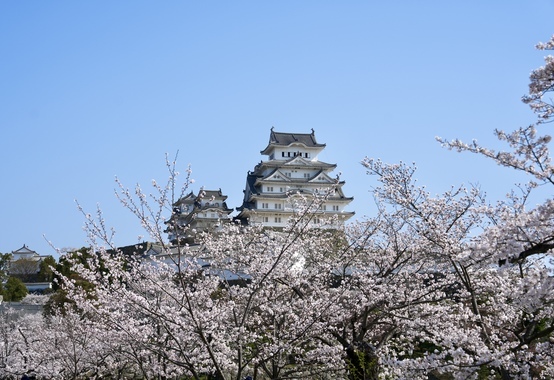2025年姫路城の春.jpg