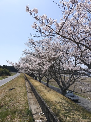 IMG20250409111354.jpg