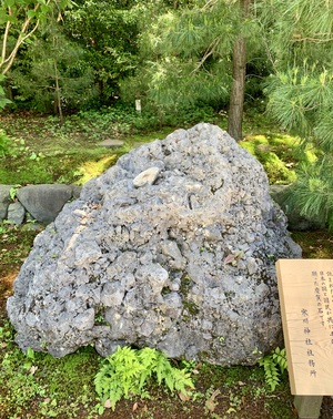 IMG_1119.jpeg