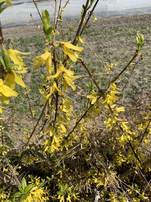 IMG_3418.jpeg