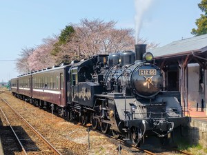 250405114042770_(1).JPG