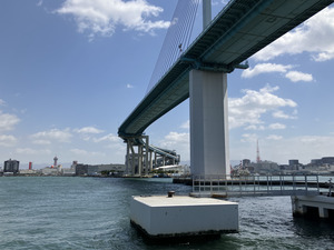 IMG_7908.png