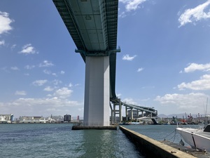 IMG_1590.jpeg
