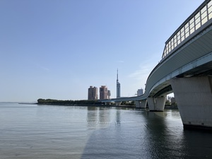 IMG_1559.jpeg
