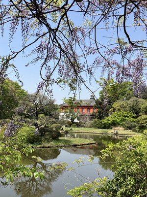 IMG_7910.png