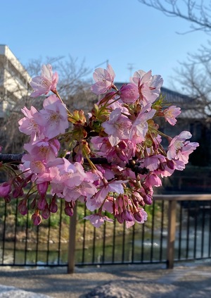 IMG_0497_Original.jpeg