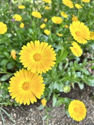 IMG_3004.jpeg