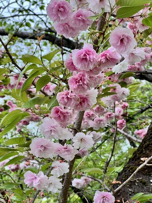 IMG_3180.jpeg
