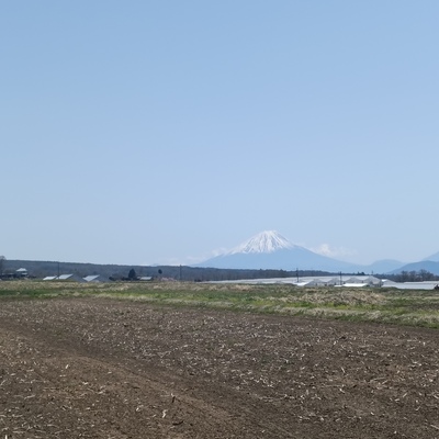 IMG20250421115456.jpg