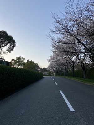 IMG_7430.jpeg