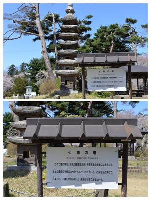 20250423_185335-COLLAGE.jpg