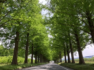 IMG_0027.jpeg
