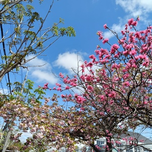IMG20250424104624.jpg