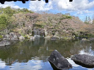IMG_1369.jpeg