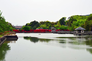 DSC_0890.jpg