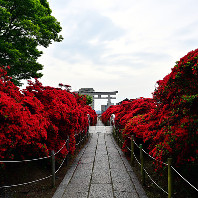 DSC_0798.jpg