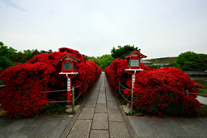 DSC_0769.jpg