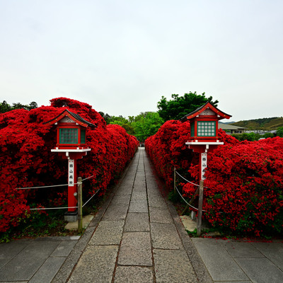 DSC_0769.jpg
