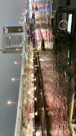 IMG_2359.png