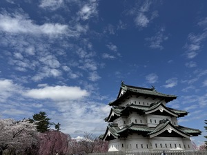 IMG_0500.jpeg