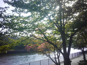 P1040219.JPG