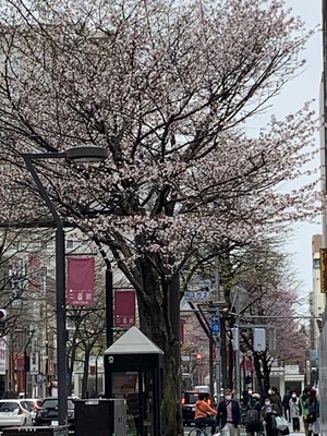 IMG_0405.jpeg