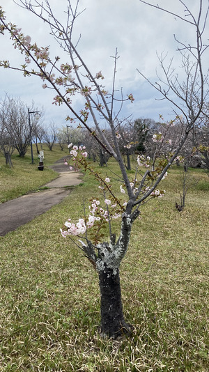 IMG_2507.png