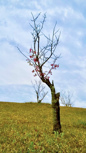 IMG_2508.png