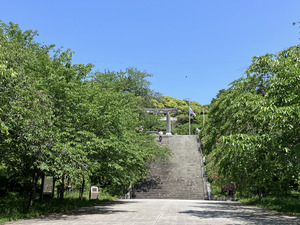 IMG_7941.png