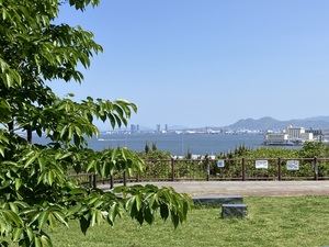 IMG_1816.jpeg