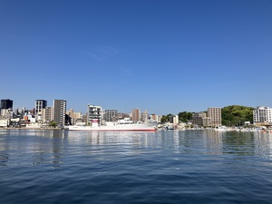 IMG_1802.jpeg
