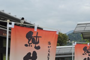 s-DSCN9644.jpg