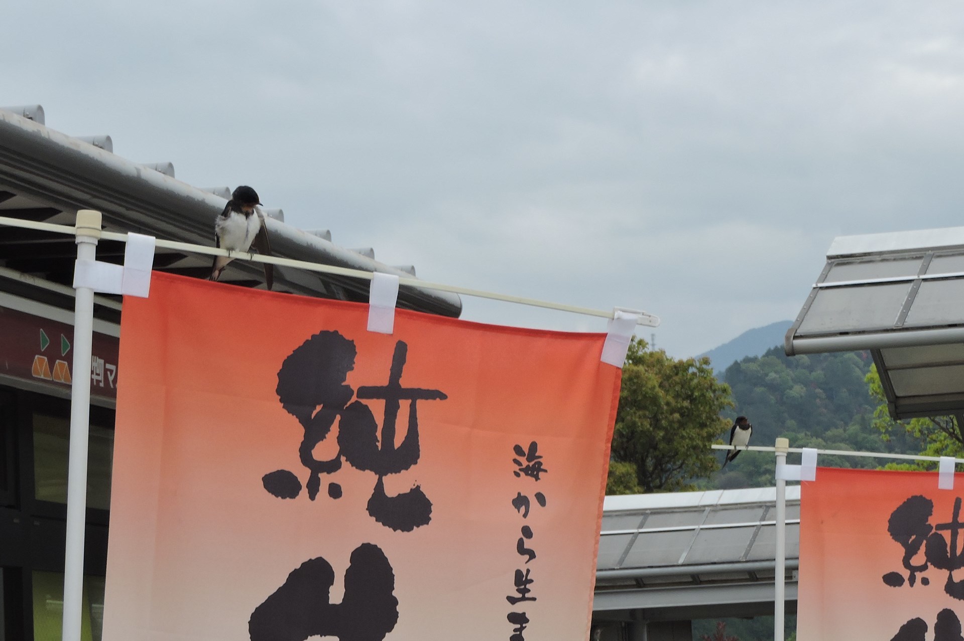 s-DSCN9644.jpg
