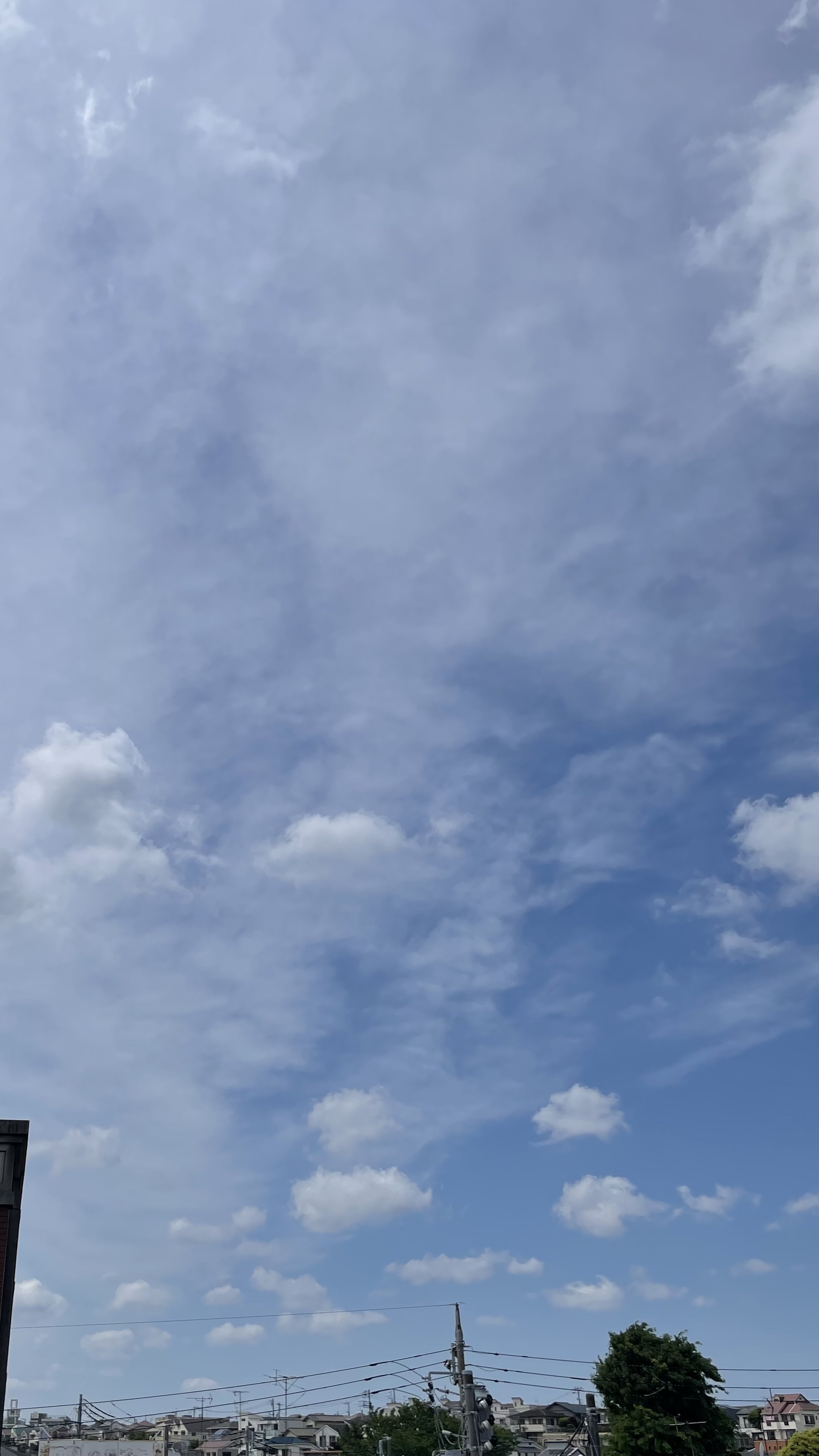 3BFE2F6E-1BA3-4715-9B4A-C83391B988E9.jpeg