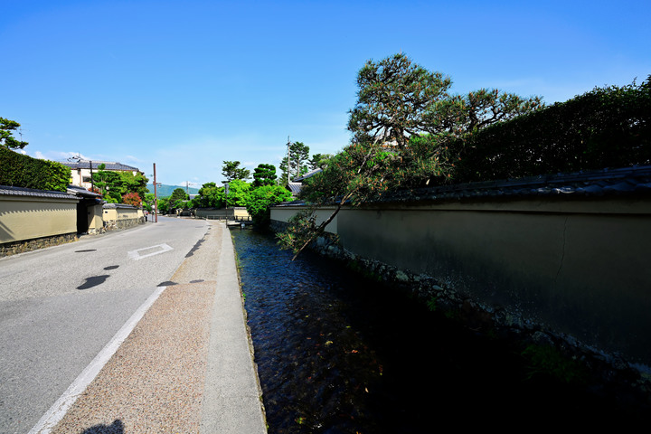 DSC_2655.jpg
