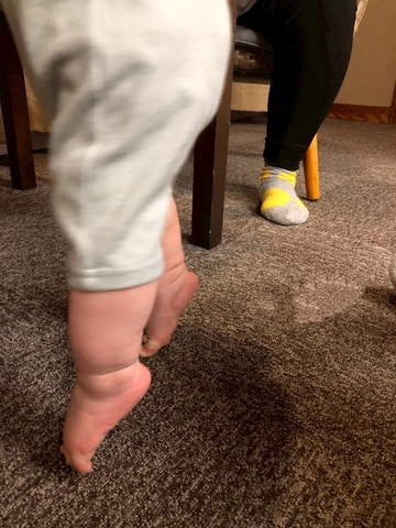 IMG_20250429_090808.jpg
