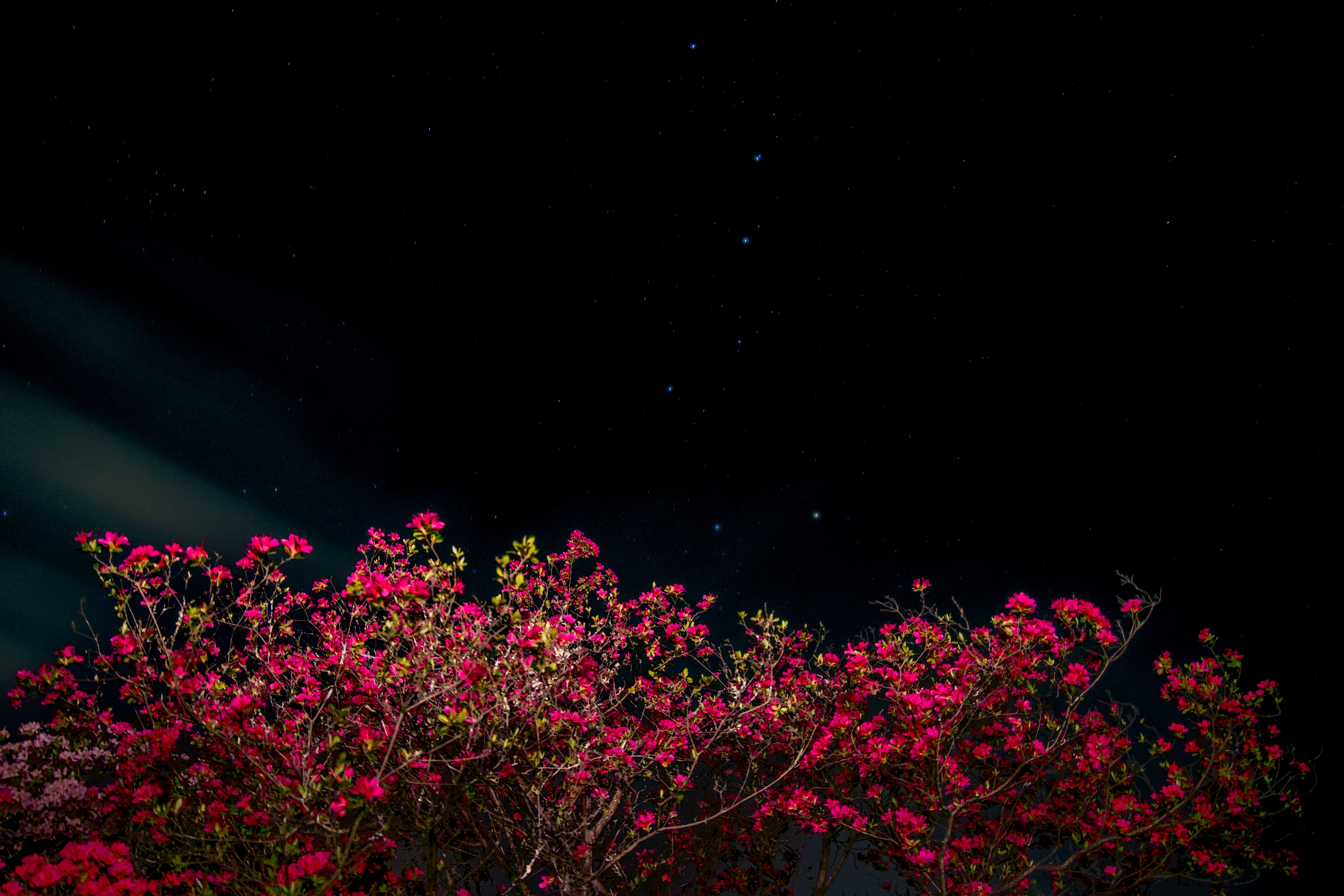 IMGP1472-3.jpg
