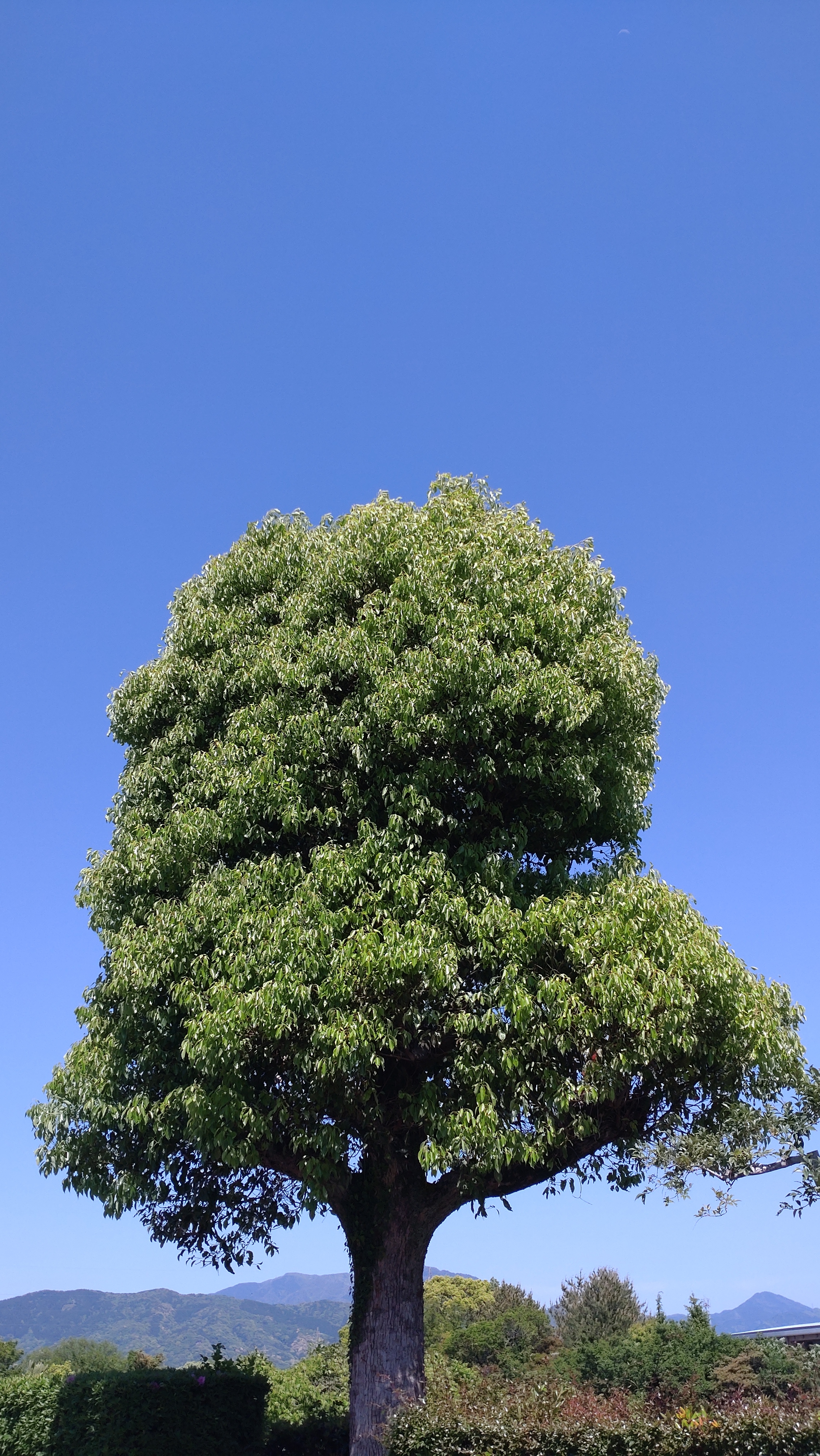 DSC_0815.JPG