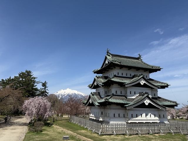 IMG_3823.jpeg