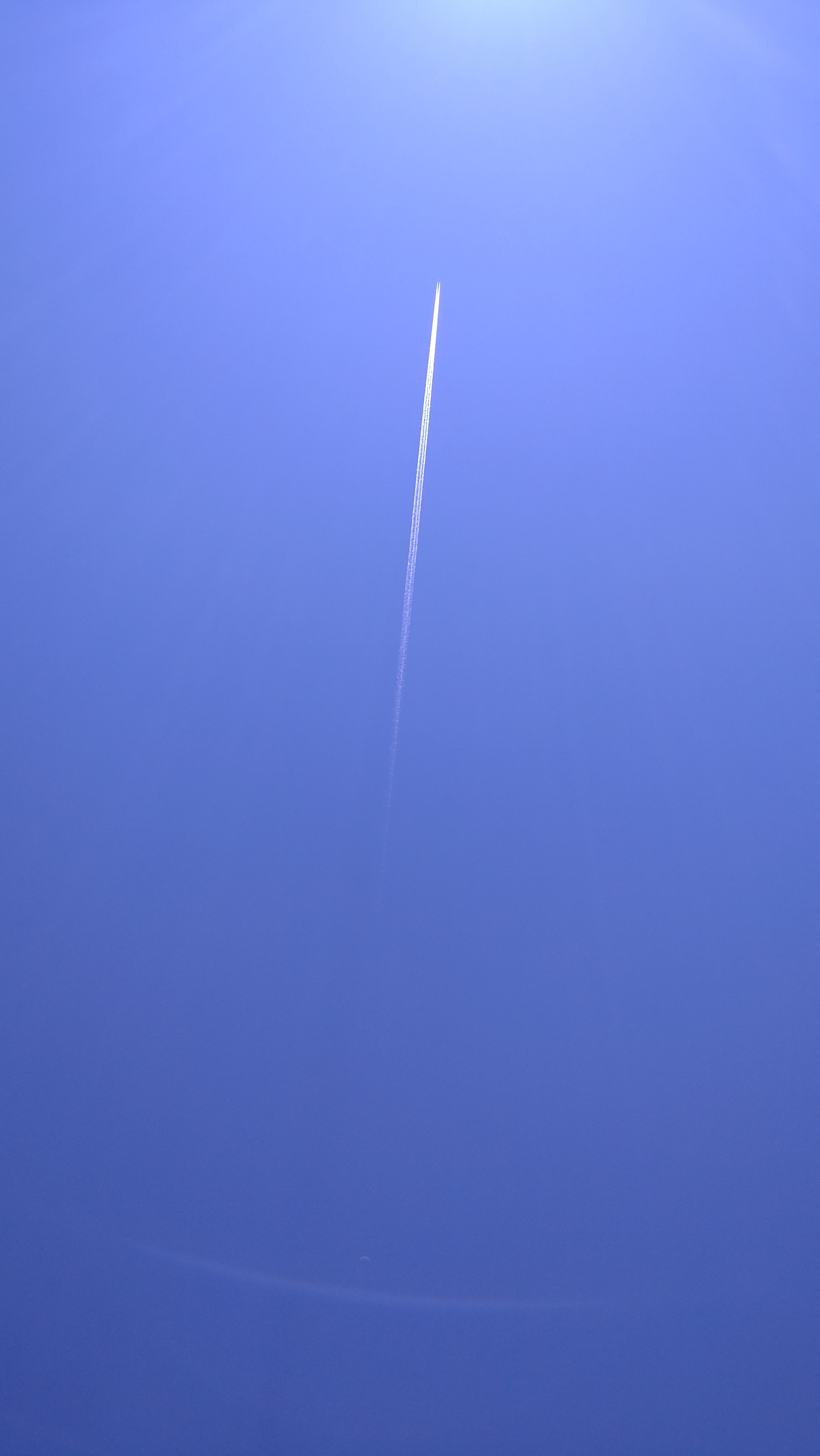DSC_0810.JPG