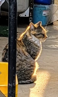 20250429_171027_2.jpg