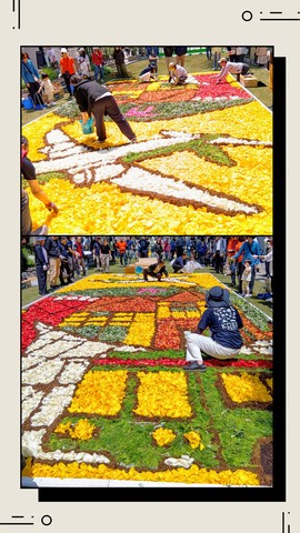 20250503_160513-COLLAGE.jpg