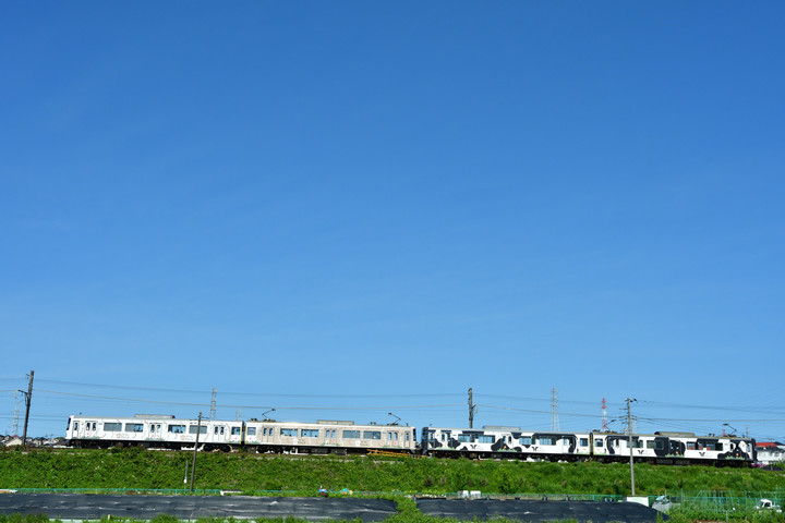 DSC_0396-2_129.JPG