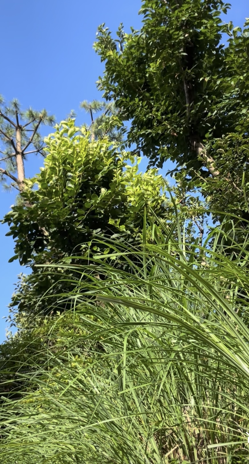 IMG_6913.jpeg