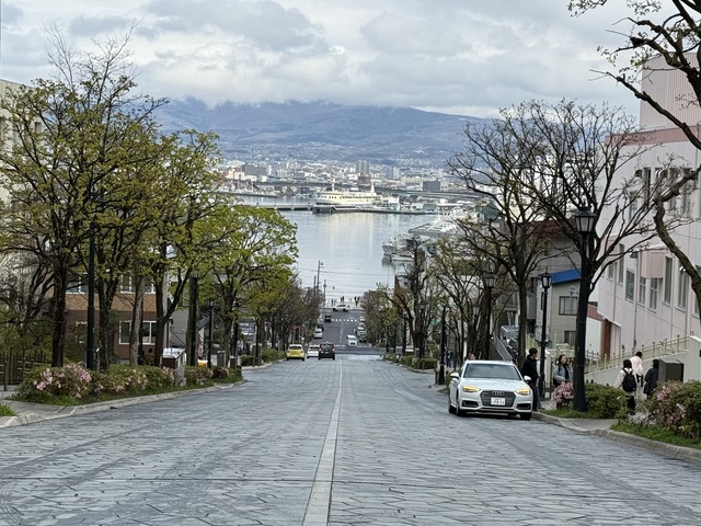 IMG_4082.jpeg